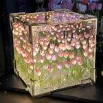 Cube Mirror Tulip Flower Night Light | ePonnoBazar