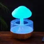 Rain Cloud Humidifier | ePonnoBazar