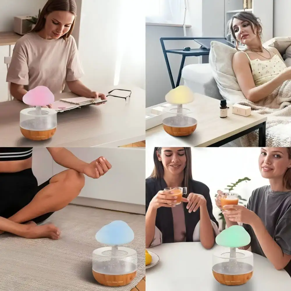 Rain Cloud Humidifier | ePonnoBazar