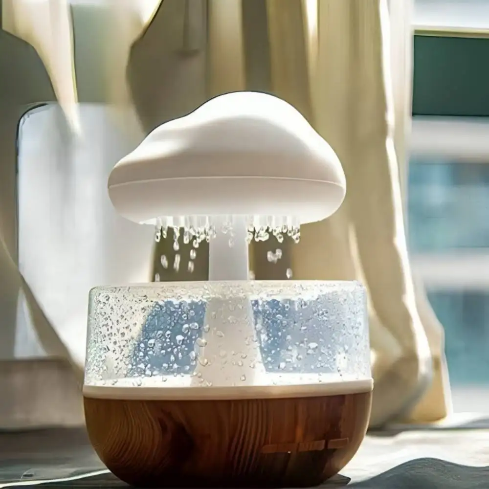 Rain Cloud Humidifier | ePonnoBazar