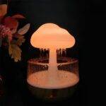 Rain Cloud Humidifier | ePonnoBazar