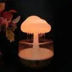 Rain Cloud Humidifier | ePonnoBazar