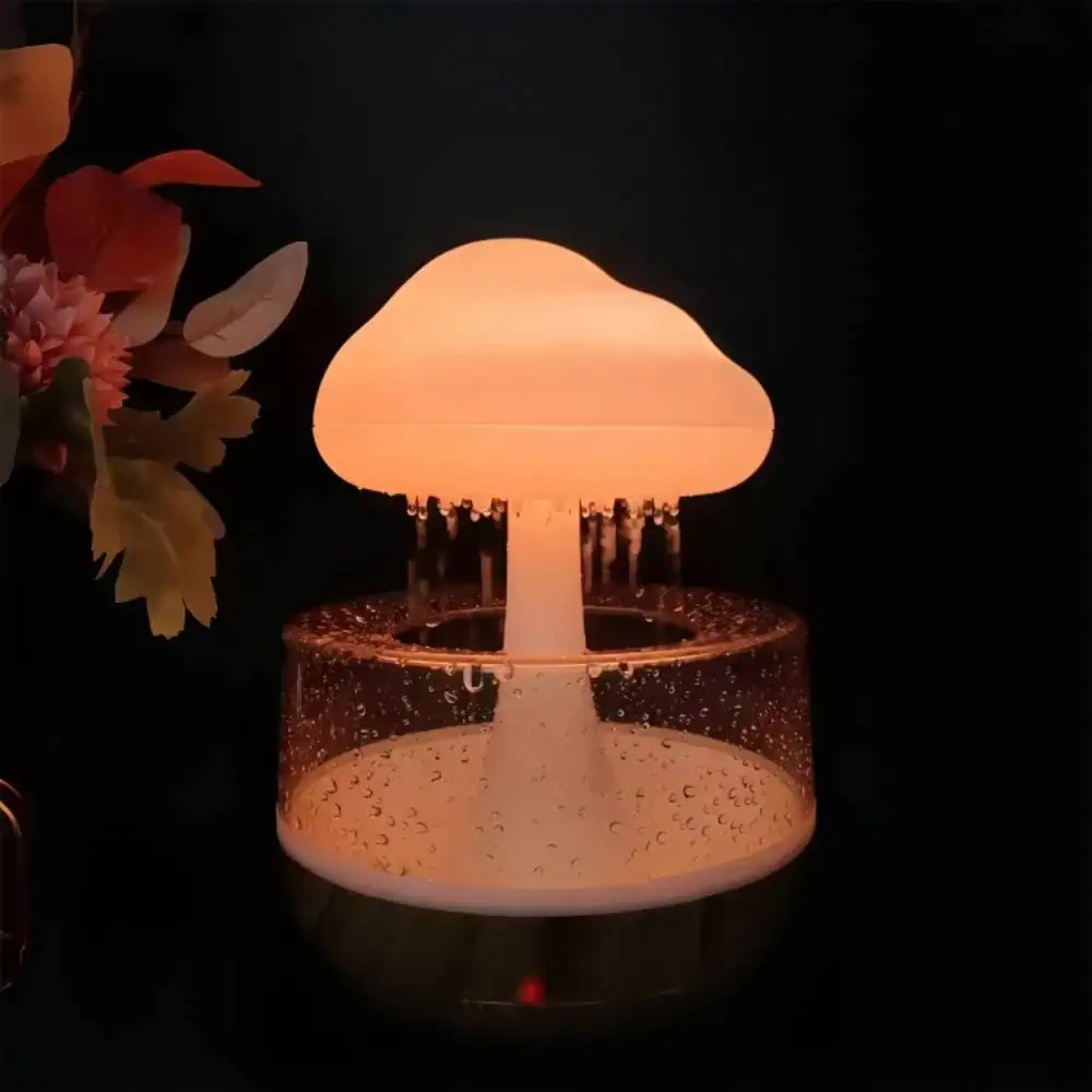 Rain Cloud Humidifier | ePonnoBazar