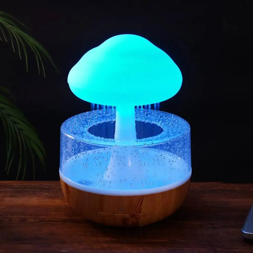 Rain Cloud Humidifier | ePonnoBazar